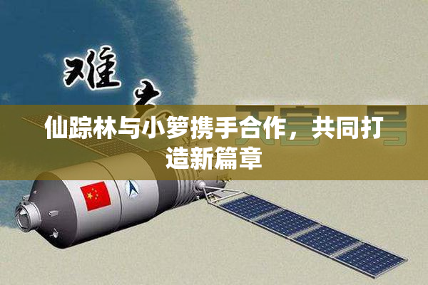 仙踪林与小箩携手合作，共同打造新篇章