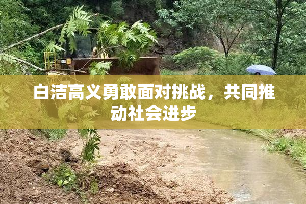 白洁高义勇敢面对挑战，共同推动社会进步