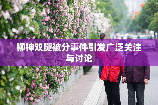 柳神双腿被分事件引发广泛关注与讨论