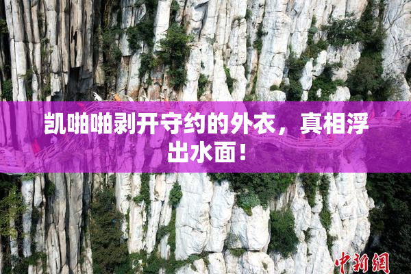 凯啪啪剥开守约的外衣，真相浮出水面！