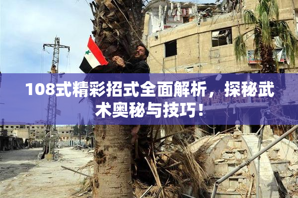 108式精彩招式全面解析，探秘武术奥秘与技巧！