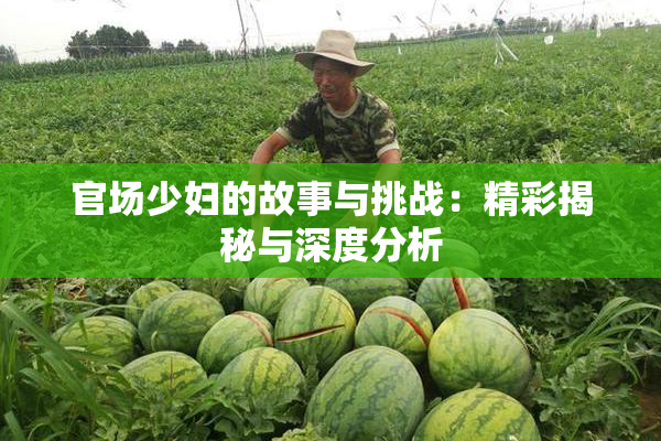 官场少妇的故事与挑战：精彩揭秘与深度分析