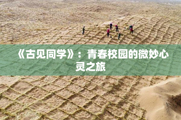《古见同学》：青春校园的微妙心灵之旅