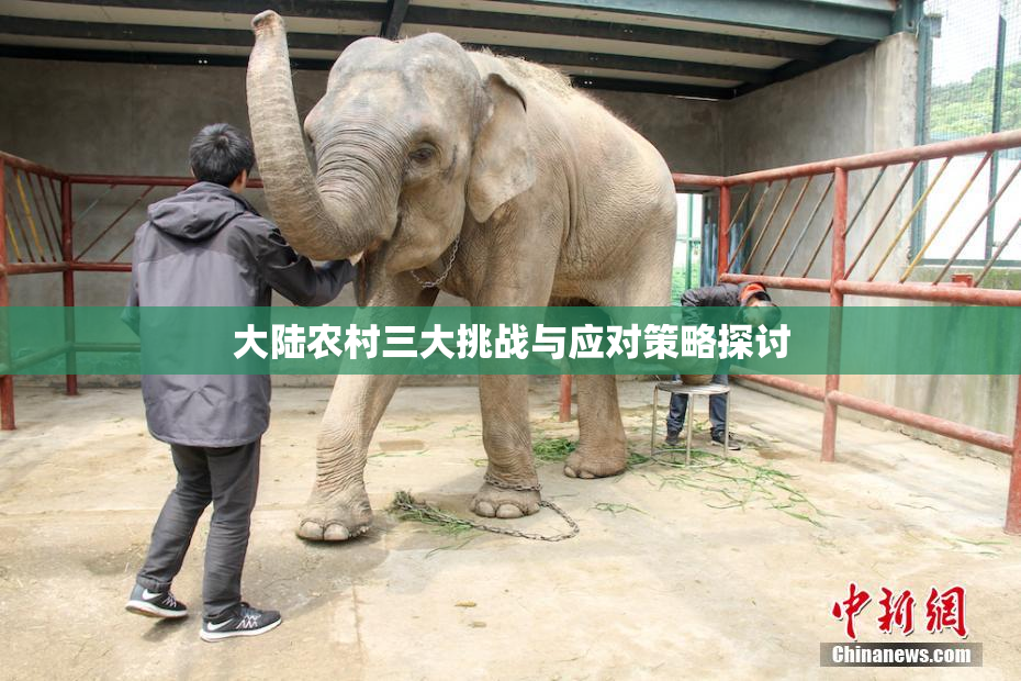 大陆农村三大挑战与应对策略探讨