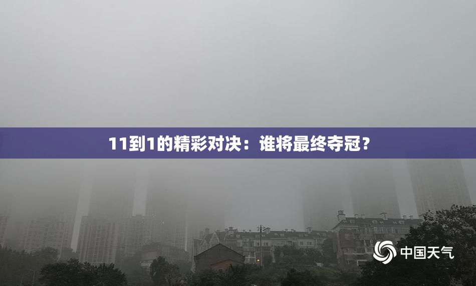 11到1的精彩对决：谁将最终夺冠？