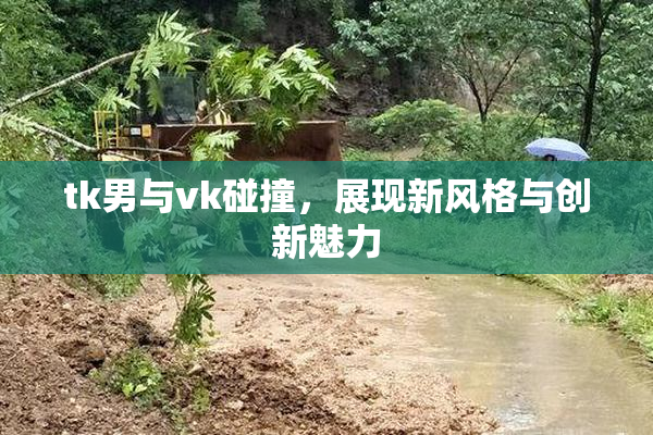 tk男与vk碰撞，展现新风格与创新魅力
