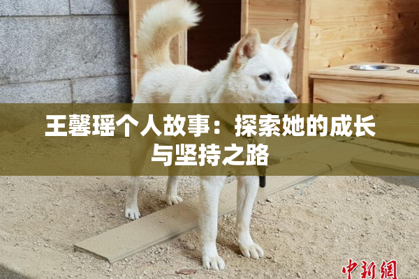 王馨瑶个人故事：探索她的成长与坚持之路