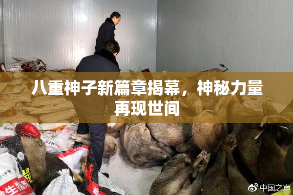 八重神子新篇章揭幕，神秘力量再现世间