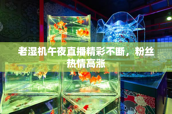 老湿机午夜直播精彩不断，粉丝热情高涨