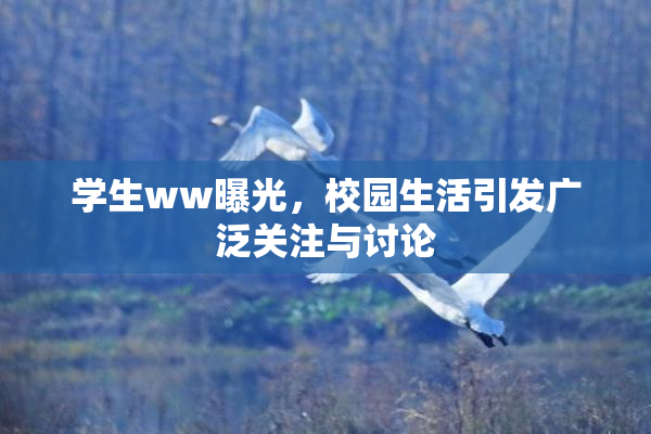 学生ww曝光，校园生活引发广泛关注与讨论