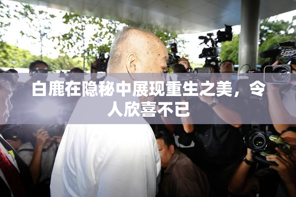 白鹿在隐秘中展现重生之美，令人欣喜不已