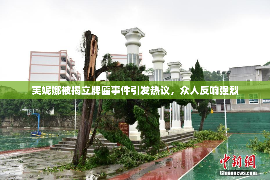 芙妮娜被揭立牌匾事件引发热议，众人反响强烈