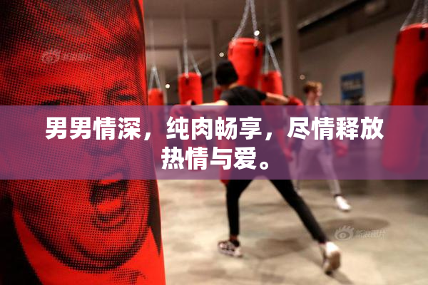 男男情深，纯肉畅享，尽情释放热情与爱。