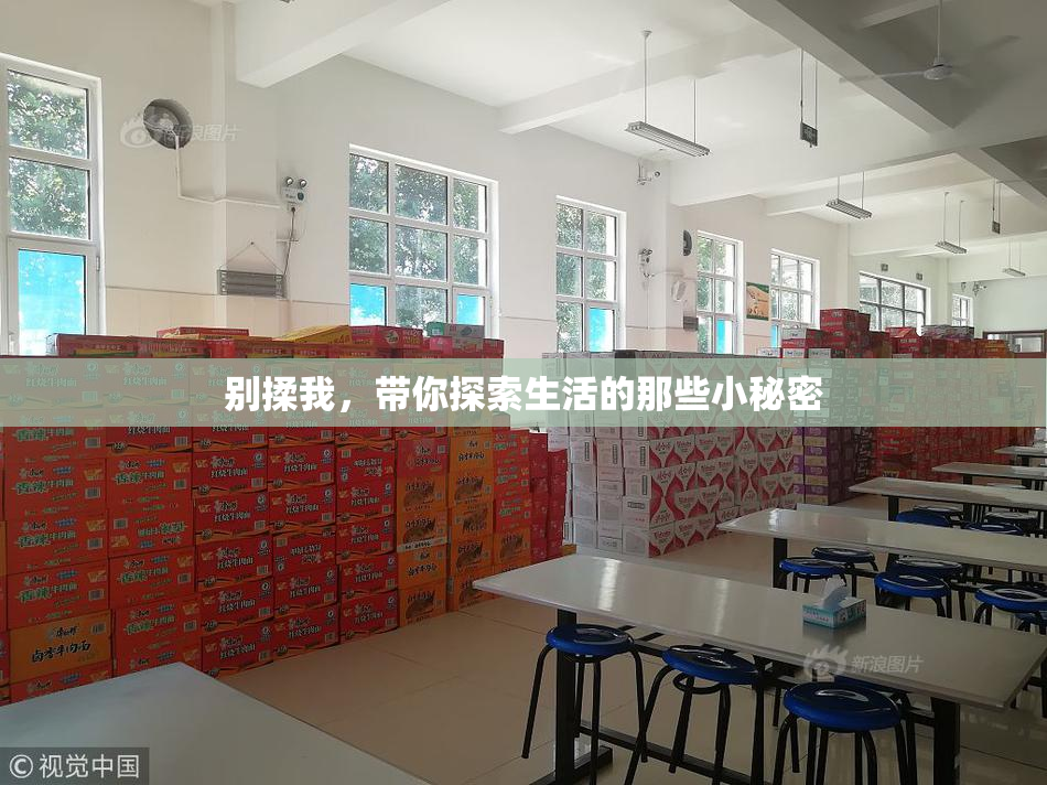 别揉我，带你探索生活的那些小秘密
