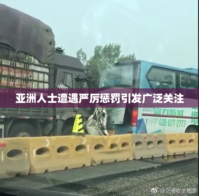 亚洲人士遭遇严厉惩罚引发广泛关注