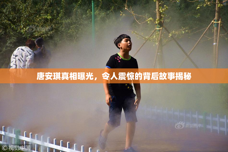 唐安琪真相曝光，令人震惊的背后故事揭秘