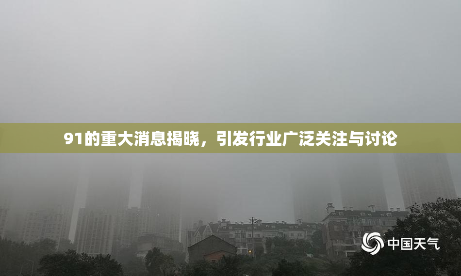 91的重大消息揭晓，引发行业广泛关注与讨论