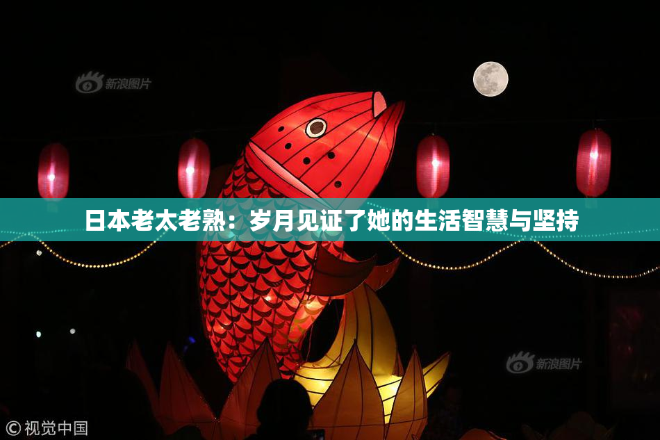 日本老太老熟：岁月见证了她的生活智慧与坚持