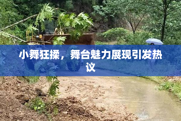 小舞狂揉，舞台魅力展现引发热议
