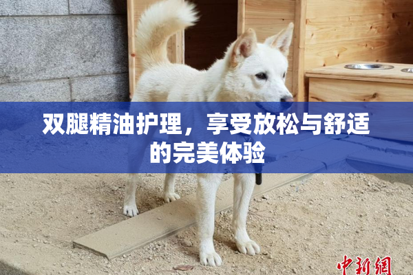 双腿精油护理，享受放松与舒适的完美体验