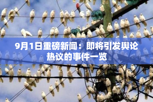9月1日重磅新闻：即将引发舆论热议的事件一览