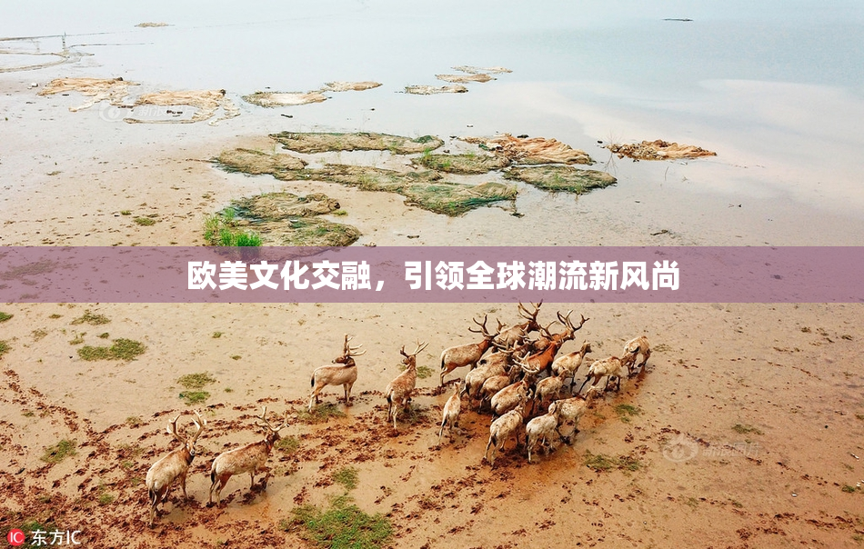欧美文化交融，引领全球潮流新风尚