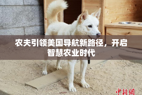 农夫引领美国导航新路径，开启智慧农业时代