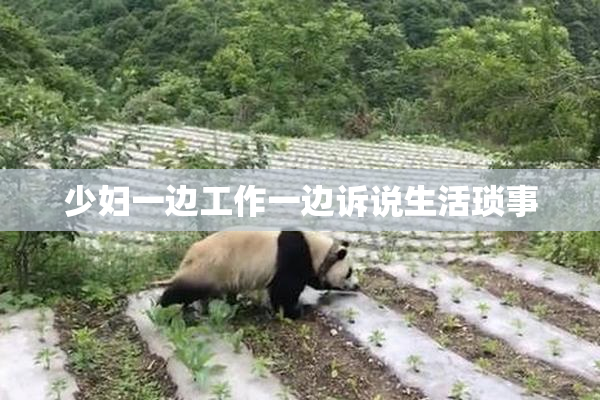 少妇一边工作一边诉说生活琐事