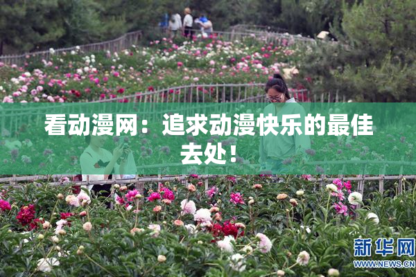看动漫网：追求动漫快乐的最佳去处！