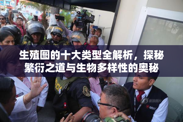 生殖图的十大类型全解析，探秘繁衍之道与生物多样性的奥秘
