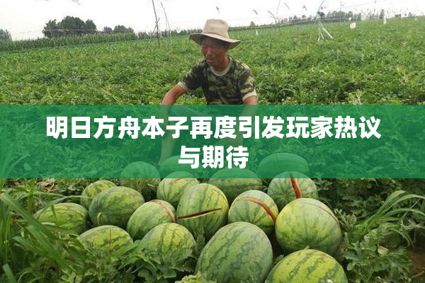 明日方舟本子再度引发玩家热议与期待