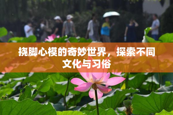 挠脚心模的奇妙世界，探索不同文化与习俗