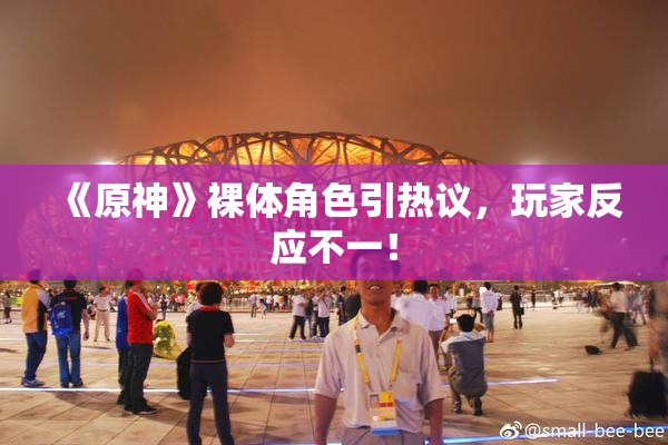 《原神》裸体角色引热议，玩家反应不一！