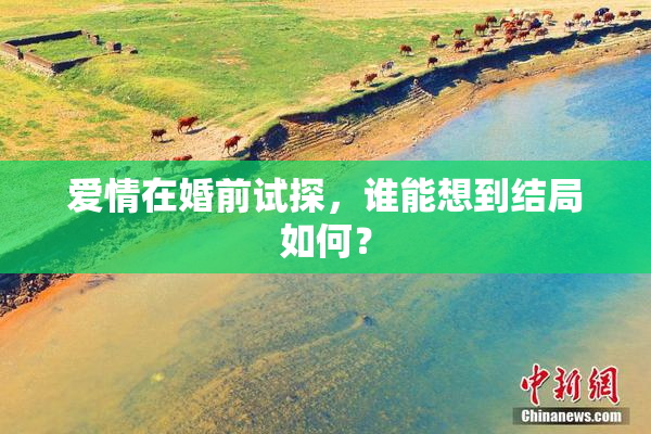 爱情在婚前试探，谁能想到结局如何？