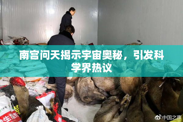 南宫问天揭示宇宙奥秘，引发科学界热议