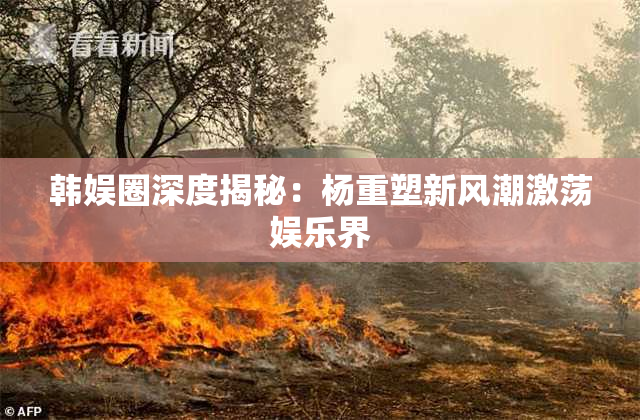 韩娱圈深度揭秘：杨重塑新风潮激荡娱乐界