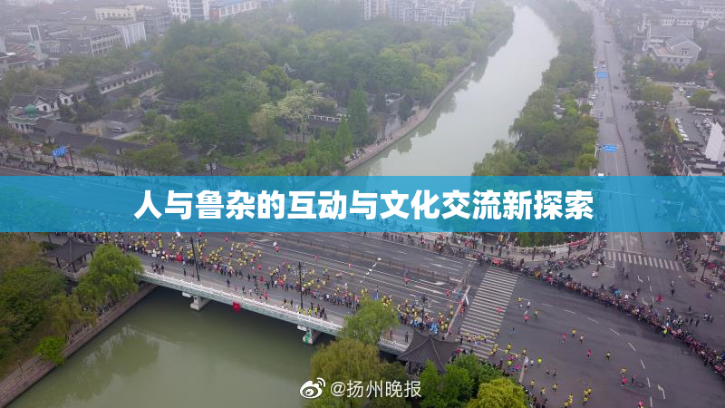 人与鲁杂的互动与文化交流新探索