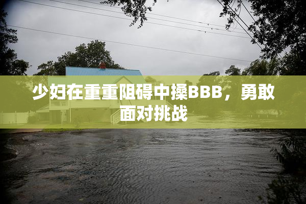 少妇在重重阻碍中搡BBB，勇敢面对挑战