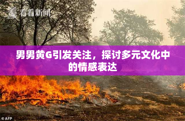 男男黄G引发关注，探讨多元文化中的情感表达