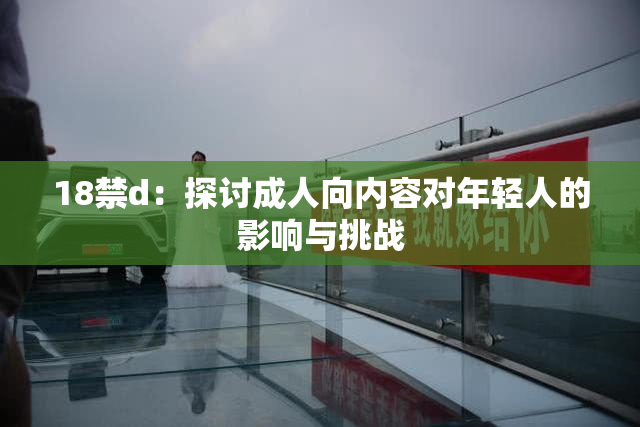 18禁d：探讨成人向内容对年轻人的影响与挑战