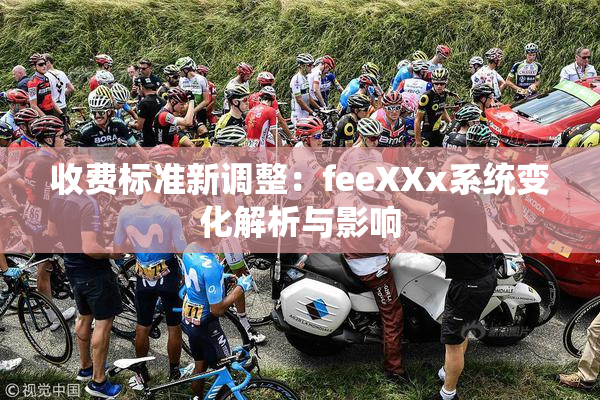 收费标准新调整：feeXXx系统变化解析与影响