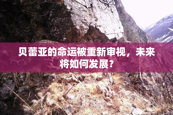 贝蕾亚的命运被重新审视，未来将如何发展？