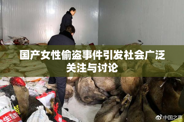 国产女性偷盗事件引发社会广泛关注与讨论