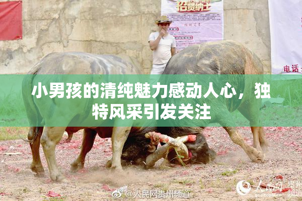 小男孩的清纯魅力感动人心，独特风采引发关注