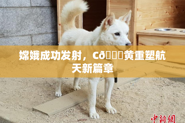 嫦娥成功发射，C🔞黄重塑航天新篇章