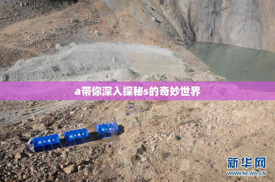 a带你深入探秘s的奇妙世界
