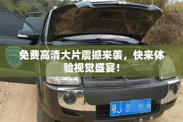 免费高清大片震撼来袭，快来体验视觉盛宴！