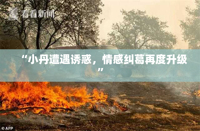 “小丹遭遇诱惑，情感纠葛再度升级”