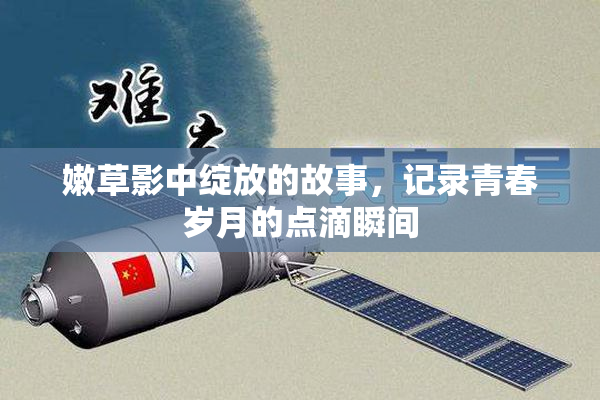 嫩草影中绽放的故事，记录青春岁月的点滴瞬间