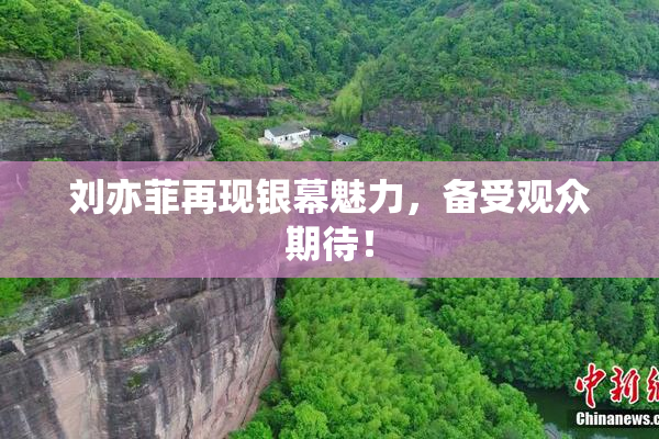 刘亦菲再现银幕魅力，备受观众期待！